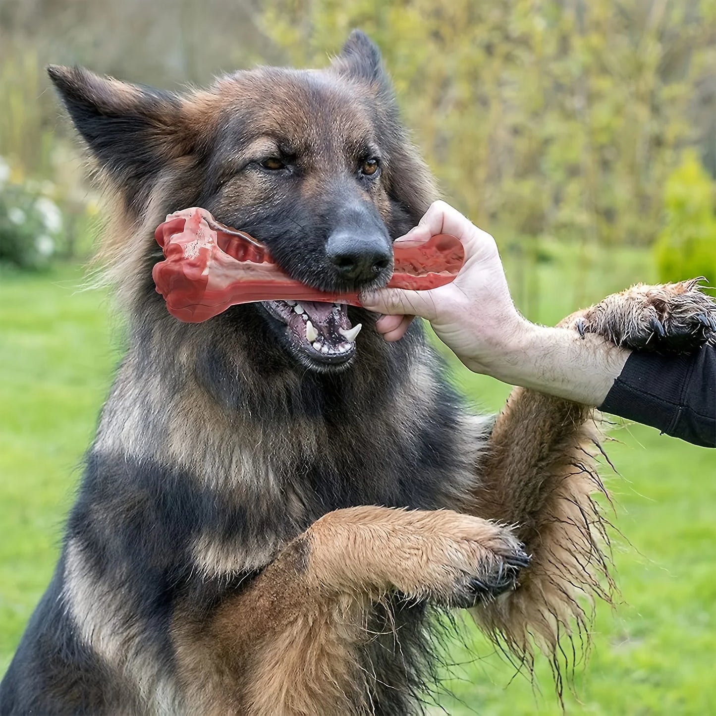 Indestructible Dog Chew Toy for Aggressive Chewers - Durable