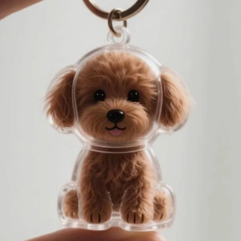 clear keychain with collectible pendant.
