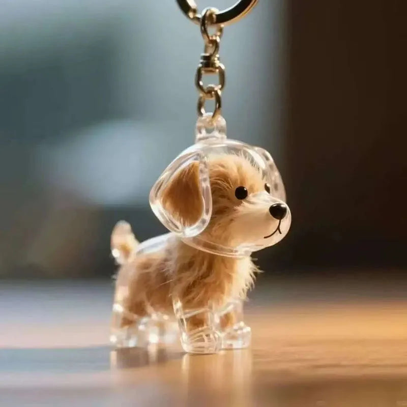 clear keychain with collectible pendant.