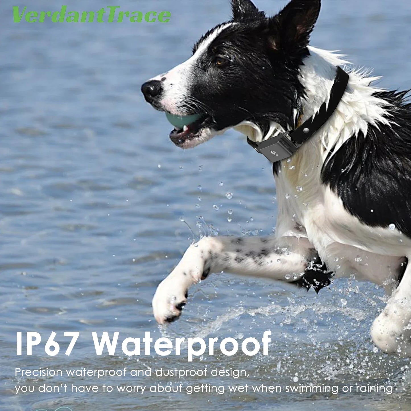 GPS Pet Tracker Collar Real-Time Tracking Anti-Lost